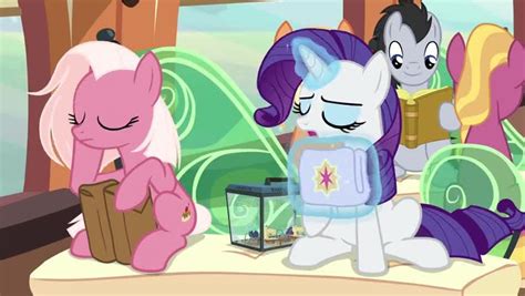 The Importance of Cultural Exchange in 'My Little Pony: Friendship is Magic' Episode 'Over a Barrel